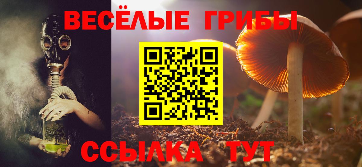 Псилоцибиновые грибы ЛСД Углич